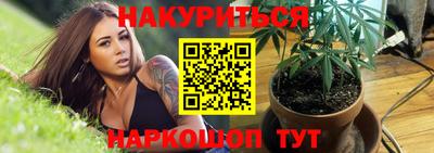 стаф Малгобек