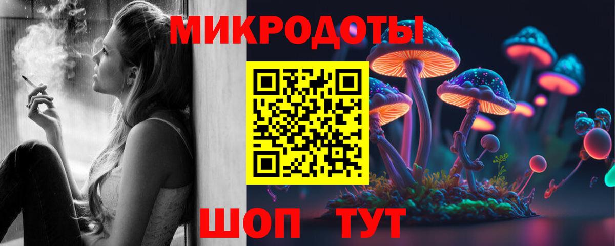 Псилоцибиновые грибы GOLDEN TEACHER  Вход с VPN  Щёлково 